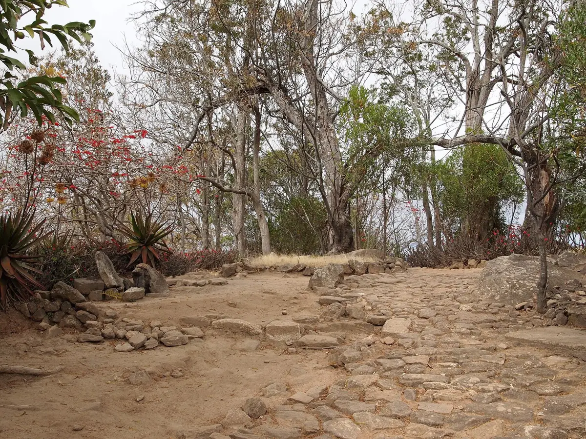 Portail et remparts de pierre du Rova d'Ambohimanga, entourés d'arbres